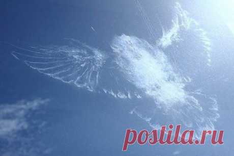 Занимательные факты и интересные фото