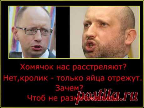 В Украине в бой вступит новая, никем не ожидаемая сила | Ваше мнение