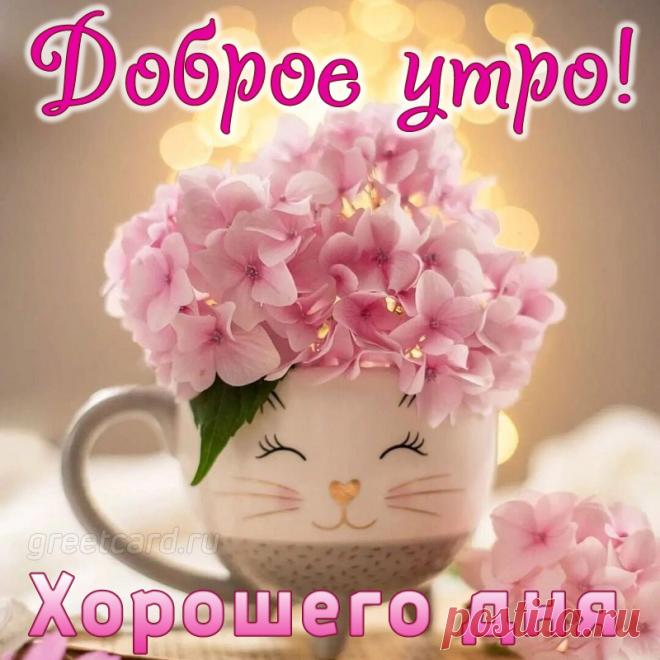 Утро доброе! Привет!
Просыпайся − и за дело,
Чтобы день был не напрасным,
Чтоб душа от счастья пела
С настроением прекрасным!