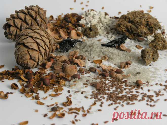 В нашей косметике используем  природную соль Малинового озера, расположенного на Алтае. Природная соль алтайских озер, содержит помимо солей натрия, много макро- и  микроэлементов. Основную ценность малиновоозерской соли для косметических целей придают примеси планктона, состоящего из рачков Артемия и их яиц, в которых содержатся все необходимые для жизни элементы в легко усваиваемой форме.
Измельченная скорлупа кедровых орехов устраняет воспалительные реакции, заживляет мелки ранки, ушибы.