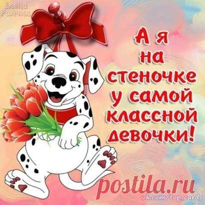 (23) Одноклассники