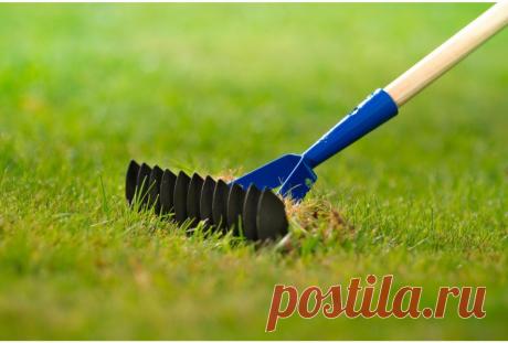 Грабли 100 фото и все что нужно знать про этот инструмент Портал о ландшафтном дизайне - обзор лучших дизайнерских идей и секретов по уходу за садом и дачей