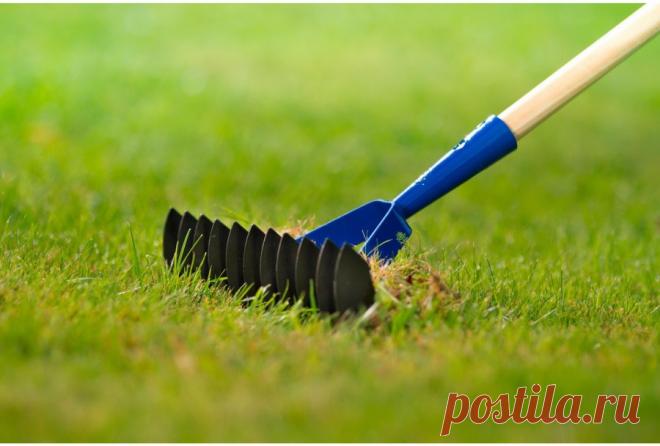 Грабли 100 фото и все что нужно знать про этот инструмент Портал о ландшафтном дизайне - обзор лучших дизайнерских идей и секретов по уходу за садом и дачей
