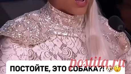 🃏✨ Это ФОКУС или настоящая МАГИЯ?