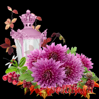 Клипарт в формате PNG 