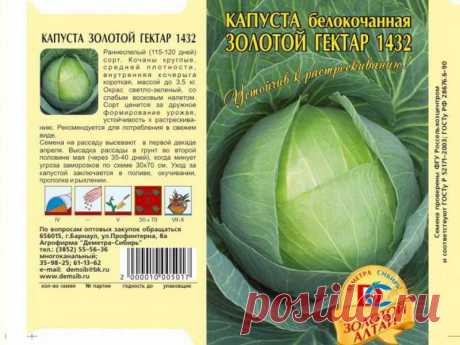 Золотой гектар капуста 1432 Огород без хлопот - информационный сайт для дачников, садоводов и огородников.