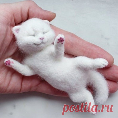 Всем споки-ноки 😇