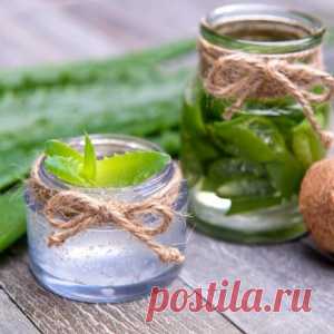 И не мини, и не красная помада — 7 женских фишек, от которых у мужчин реально рвет крышу - МирТесен