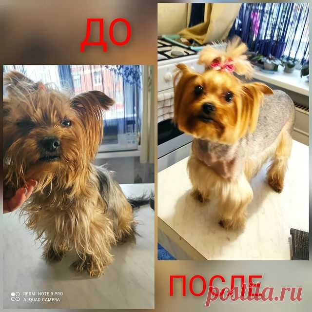 Наталия: Красуня!)))
