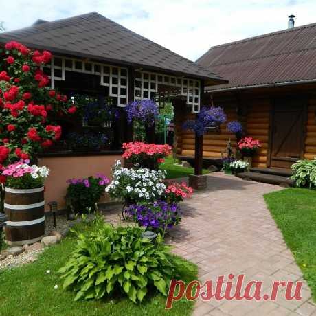 👨‍👩‍👧‍👦 Информационный портал для огородников и садоводов
🏠 Дачные хитрости 🔥 Полезные советы 🤩 Креативные идеи
💖 Доступно бесплатно для всех устройств: Windows, Android, IOS