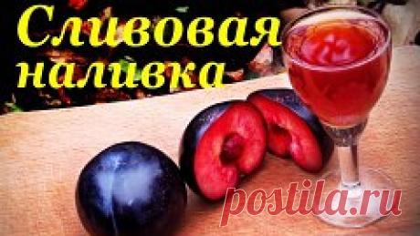 ДОМАШНЯЯ СЛИВОВАЯ НАЛИВКА
Сохраните, чтобы не потерять!
Чтобы сделать сливовую наливку, потребуются:
- сочные, спелые плоды слив – 1,3 кг;
- сахар – 400 г;
- водка – 0,5 л.
1. Для начала надо подготовить сливы. Их перебирают, выкидывают подпорченные и червивые, хорошо вымывают холодной водой и дают им обсохнуть.
Кстати, для детей не забудьте заготовить компот из слив, да и взрослым такой безалкогольный напиток понравится.
2. Когда сливы немножко подсохнут, надо разрезать и...