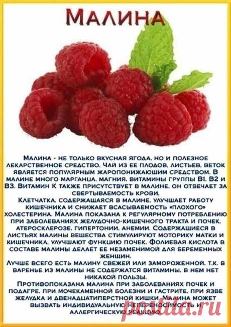 Малина - полезные свойства