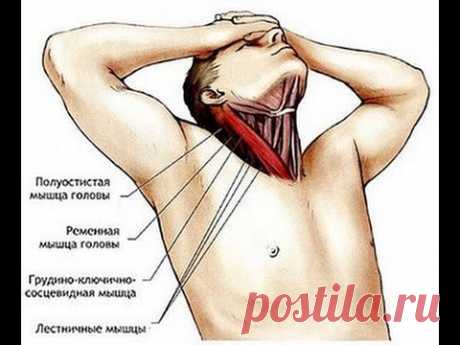 Как расслабить мышцы шеи рекомендует доктор Божьев