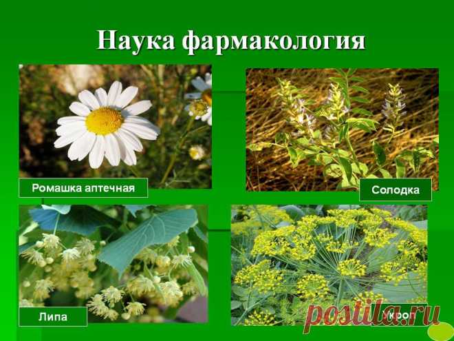 Человек должен знать, как помочь себе самому в болезни, имея в виду, что здоровье есть высочайшее богатство человека.

Гиппократ