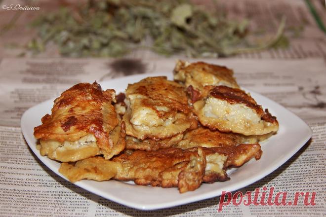 Записки Василиски