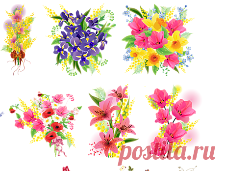 Цветы разные (png)