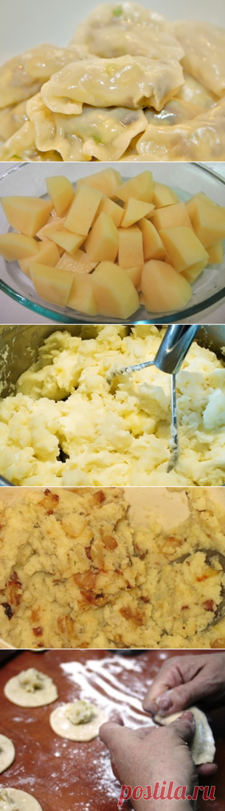 Вареники с вареным картофелем / Вареники / TVCook: пошаговые рецепты с фото