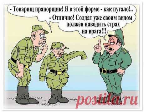 как встретить сына из армии прикольно плакаты: 26 тыс изображений найдено в Яндекс.Картинках