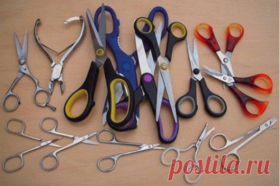 Быстрый способ затачивания ножниц. Вы узнаете, как вернуть ножницам былую остроту всего за пару минут!
  
Многие хозяйки знают, как правильно затачивать ножи, но когда дело касается ножниц — в этом нелегком деле даже мужчины не всегда в силах нам помочь. Многие даже считают, что раз ножницы затупились, значит, пришла пора подыскать им замену.