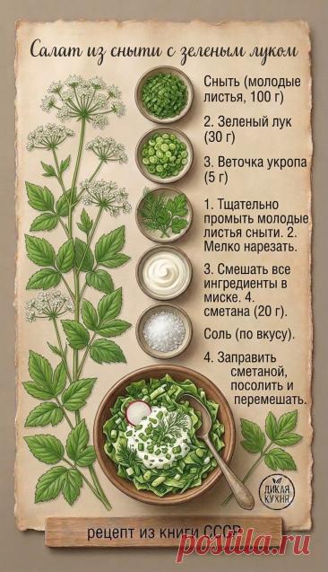 Салат из сныти с зеленым луком