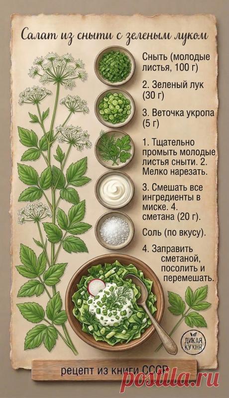 Салат из сныти с зеленым луком