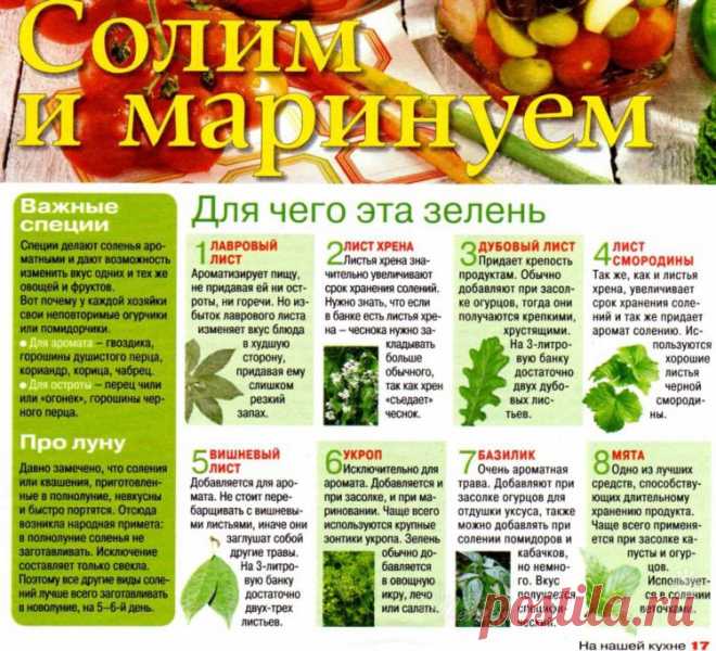 ВАЖНЫЕ СПЕЦИИ.