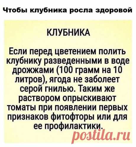 da070c390bec1a60afabed1b92dfe2a8.jpg (563×608)
