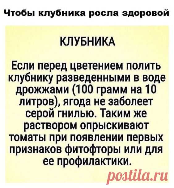 da070c390bec1a60afabed1b92dfe2a8.jpg (563×608)