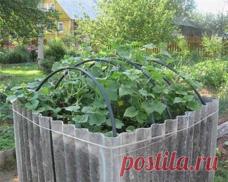 (34) Одноклассники