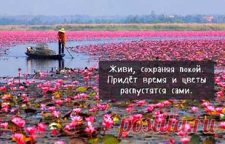 45 мудрых советов от китайцев