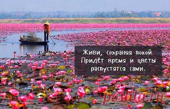 45 мудрых советов от китайцев