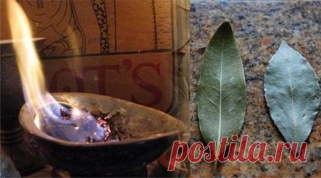 ВОТ ЧТО БУДЕТ, ЕСЛИ ЗАЖЕЧЬ ДОМА ЛАВРОВЫЙ ЛИСТ