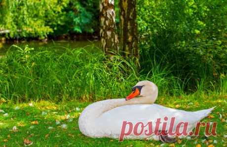 Alexander Friesen – Google+