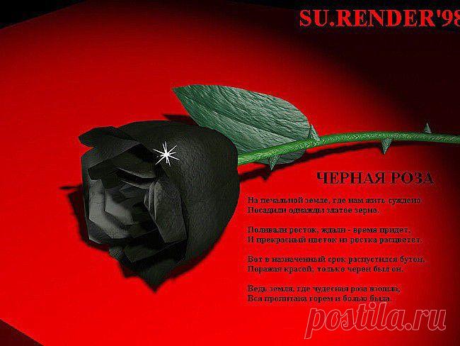 Ελένη РОМАНОВА
Россия, Mosсow