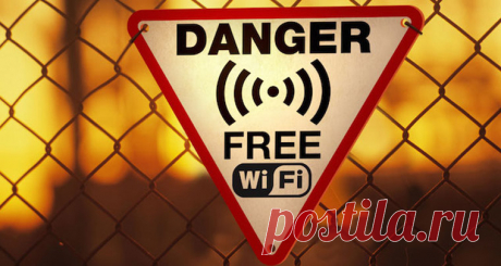 Вред от Wi-Fi: мы все подопытные крысы