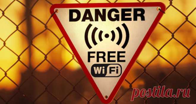 Вред от Wi-Fi: мы все подопытные крысы