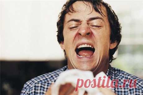 Что ваш стиль чихания может рассказать о вашем характере? | Страна Полезных Советов