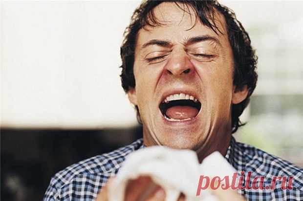 Что ваш стиль чихания может рассказать о вашем характере? | Страна Полезных Советов