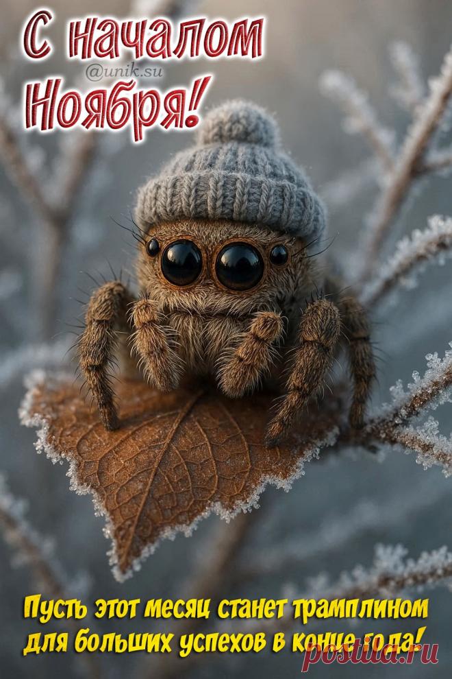 открытки с началом ноября