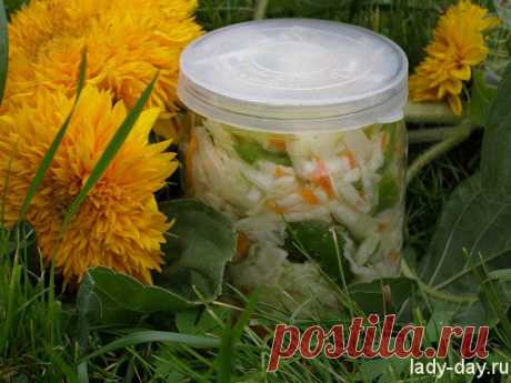Капуста квашеная на зиму, рецепт очень вкусный в банке | Простые рецепты с фото