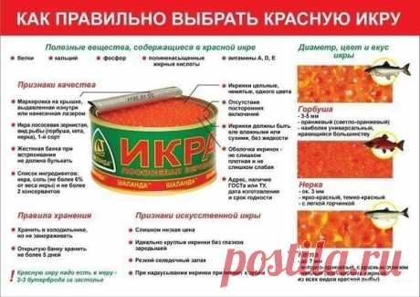 Хитрости Жизни