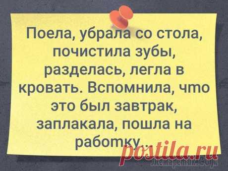 Порция классного юмора для чудесного настроения День за днем мы неустанно собираем самый свежий юмор с просторов Сети, дабы вне зависимости от погоды, количества забот и денег в кошельке у Вас был повод посмеяться от души, зарядиться позитивом, и с...