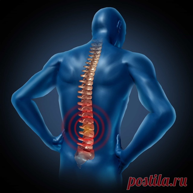 ЛФК поясничного отдела: наиболее эффективные упражнения