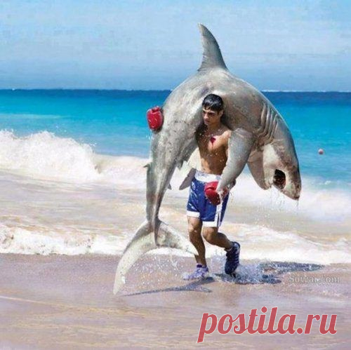 Приколы и картинки в ассортименте / Приколы