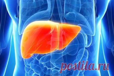 Дневник модерато