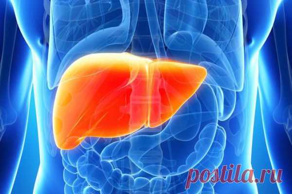 Дневник модерато