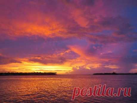 Sunset at Mallory Square, Key West, FL - Изображение Площадь Маллори, Ки-Уэст - TripAdvisor