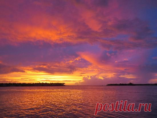 Sunset at Mallory Square, Key West, FL - Изображение Площадь Маллори, Ки-Уэст - TripAdvisor