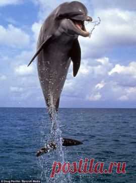 Мы живем всего лишь один раз и именно поэтому нужно 
радоваться каждой мелочи и не нервничать из-за глупых пустяков.