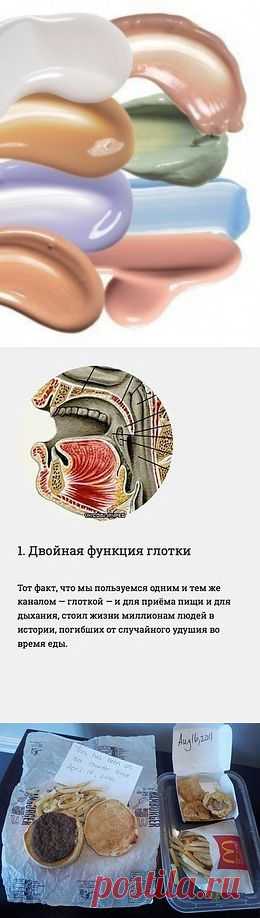 Базы под макияж. Сохраняем на стену, чтобы не потерять! Белый — подсвечивает и освежает. Желтый — ...